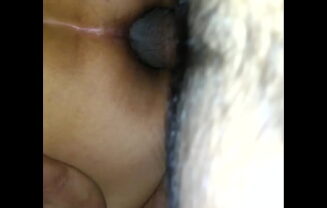 anal mexicano 2